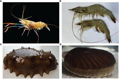 Editorial: Mining, development, and utilization of genetic resources related to economic traits of aquatic animals based on omics technology